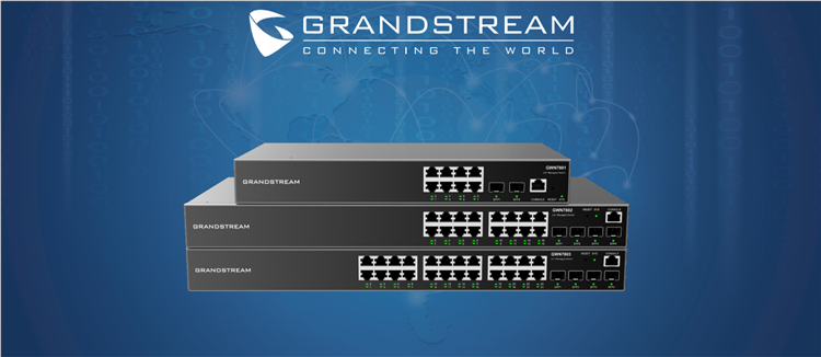 Grandstream GWN7802 Conmutador de red gestionado de Capa 2 + empresarial GWN7802/P